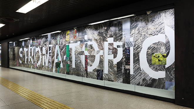 500m Underground Walkway Gallery img10