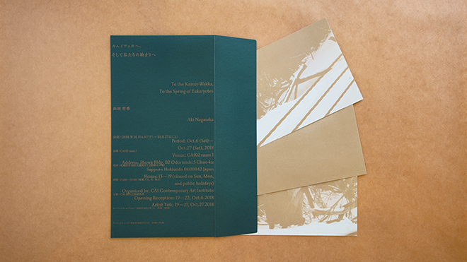 To the Kamuy-Wakka, To the Spring of Eukaryotes img03