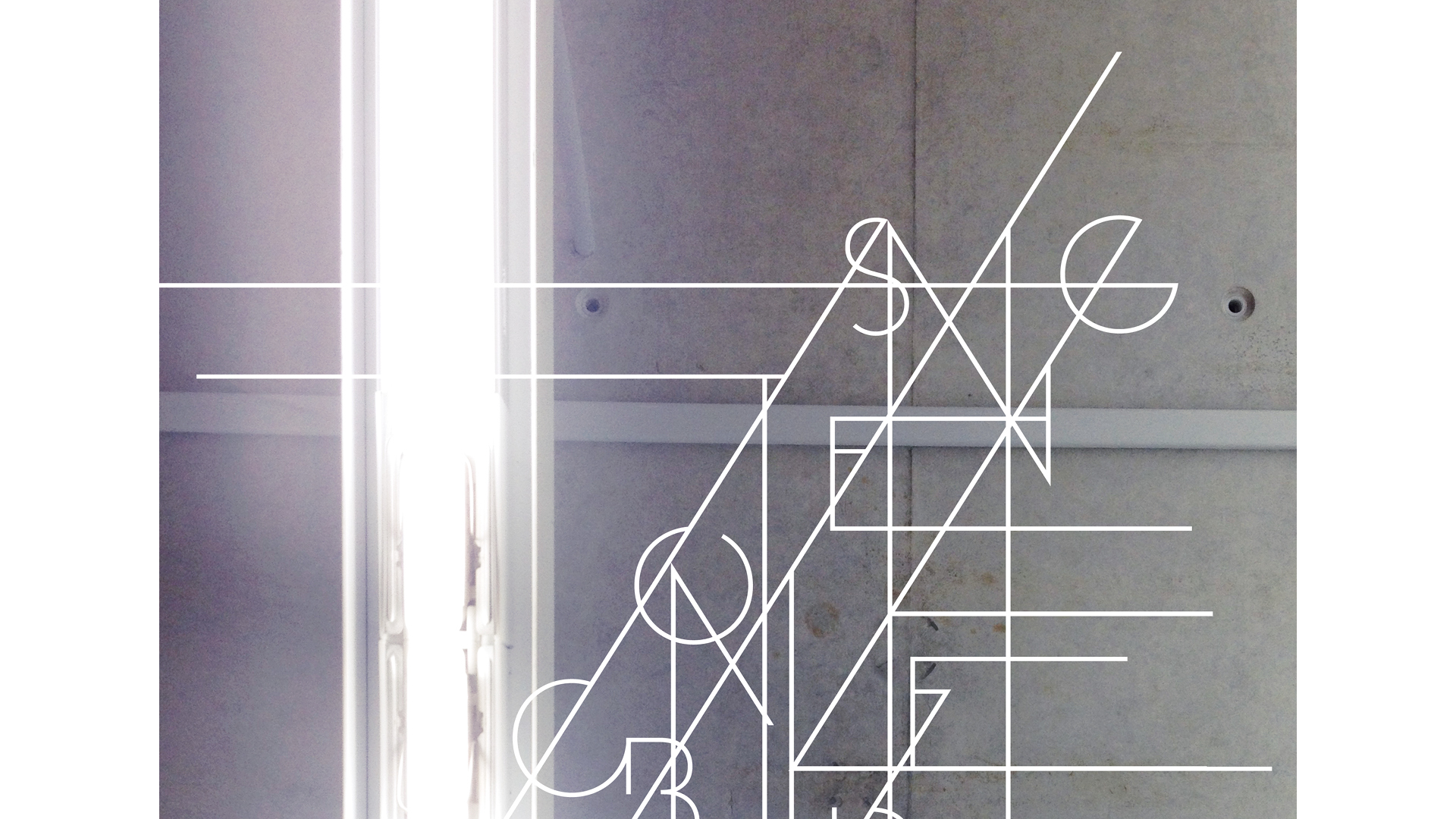 STOCK MEMBERS GALLERY img02