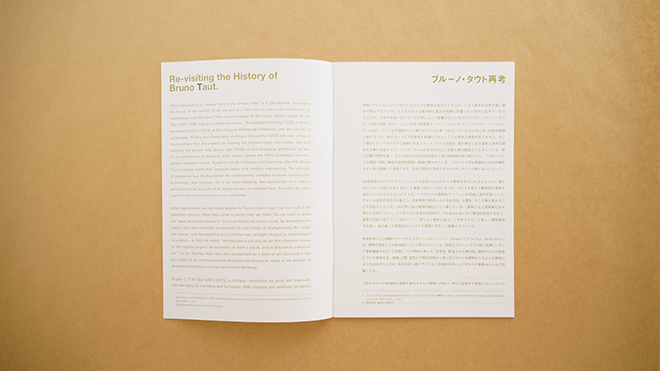 Project T, T for Taut. img09